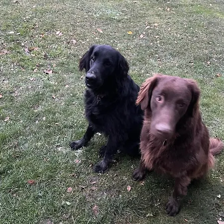 Just Σπίτι διακοπών *