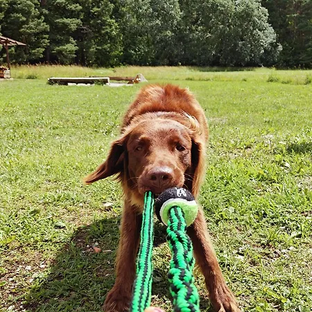 Сasa de vacaciones Just Orissaare