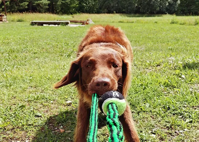 Casa vacanze Just Orissaare